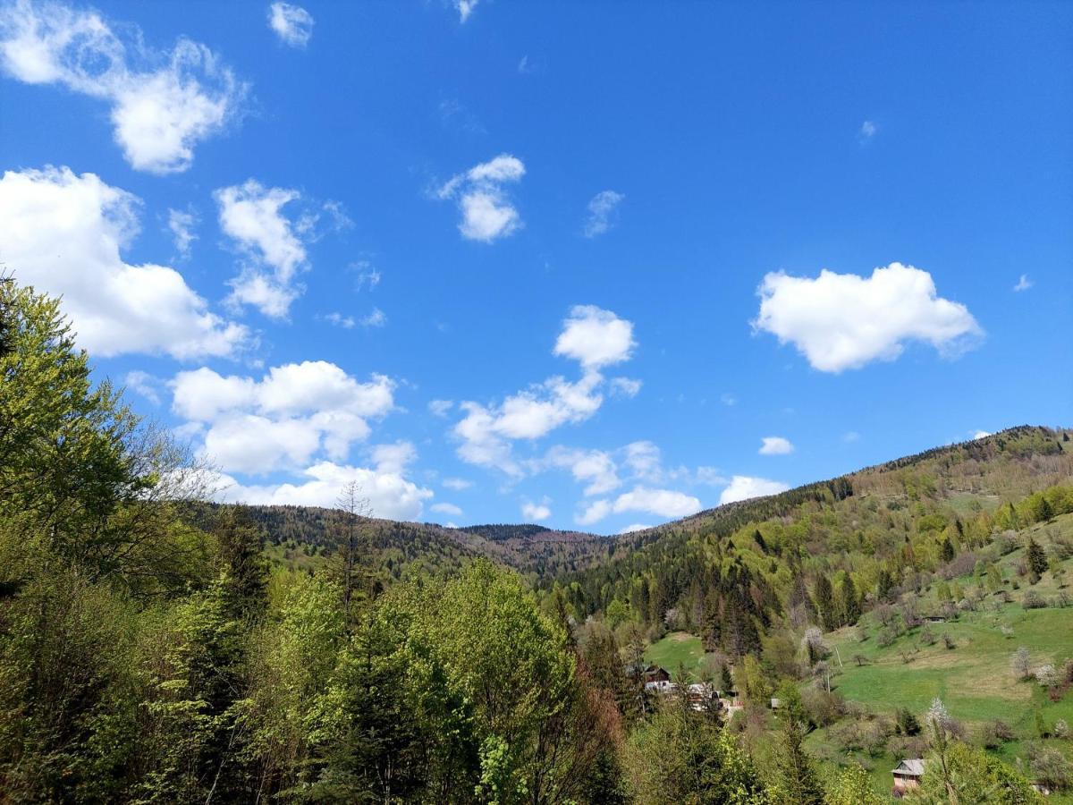Villa Gold Yaremche Dış mekan fotoğraf
